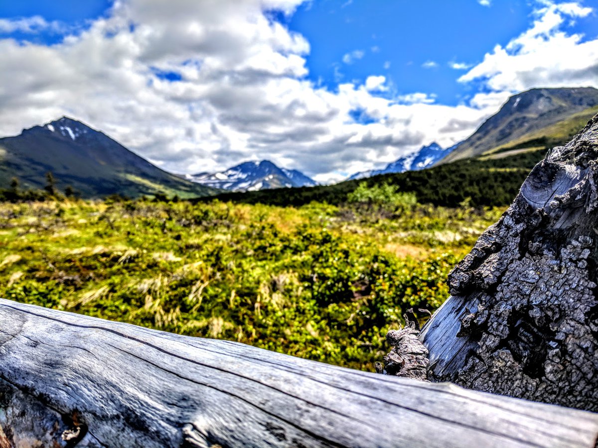 Glen Alps Trailhead Parking A picture of Glen Alps Trailhead Parking