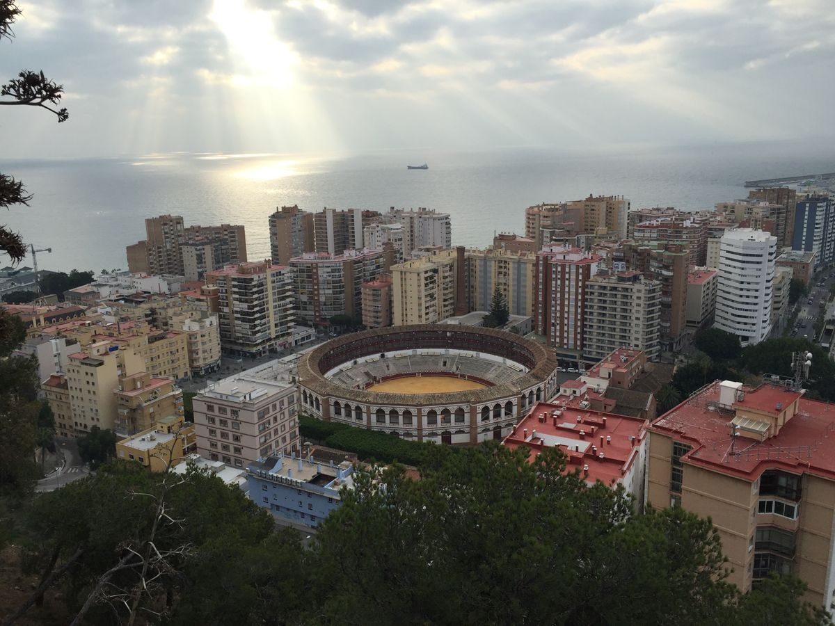 A picture of the Malaga makes it easier for you to know the country
