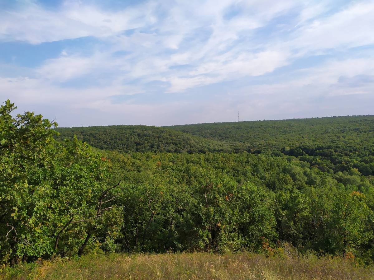 محمية ساراتوف سويسرا