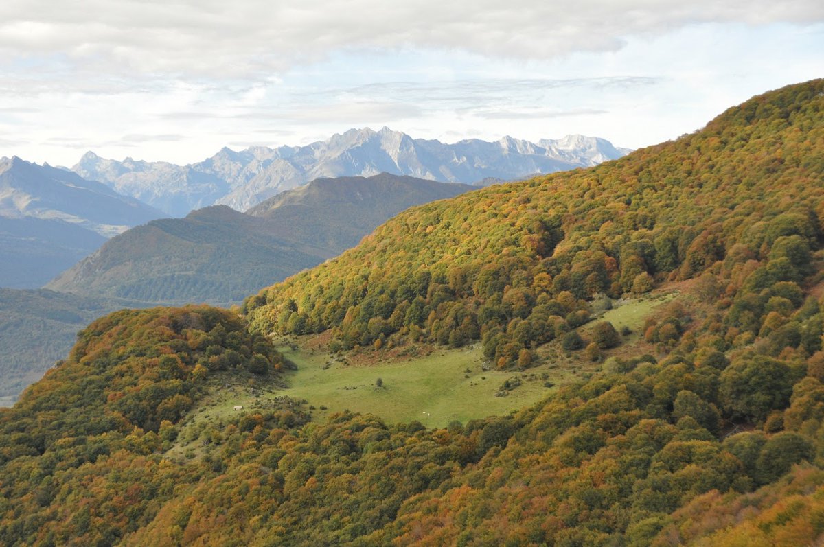 محمية مرتفعات بيبيست أوليت الطبيعية الإقليمية