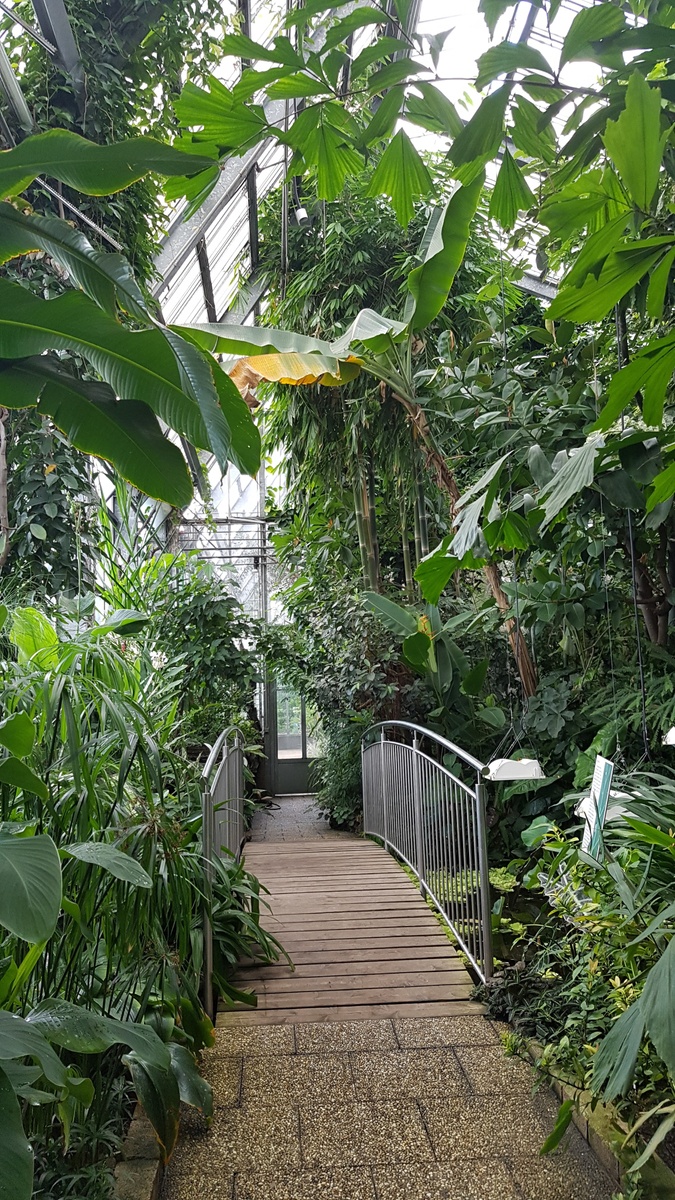 11 من أفضل حديقة نباتية في النمسا ننصحك بزيارتها