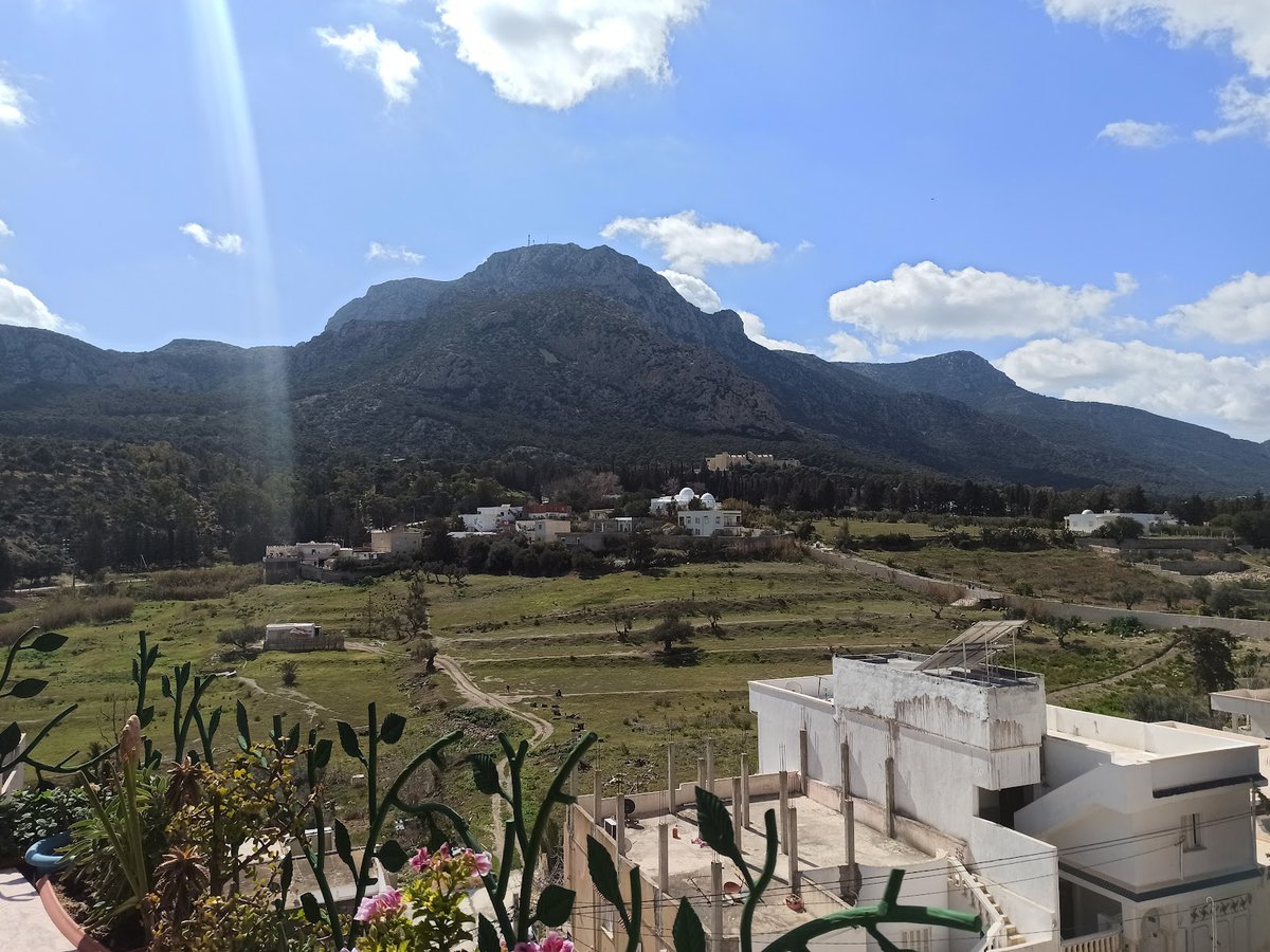 مطعم لا فالي