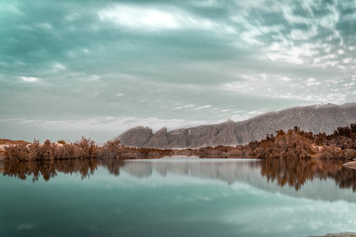 عين الفايضة