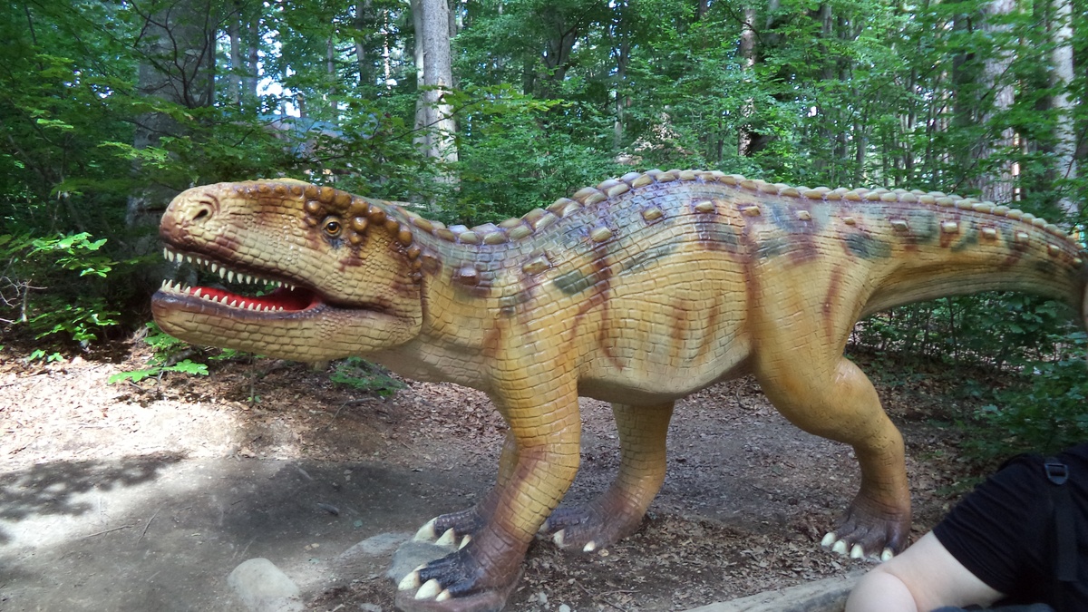 A picture of Dino Parc Brasov