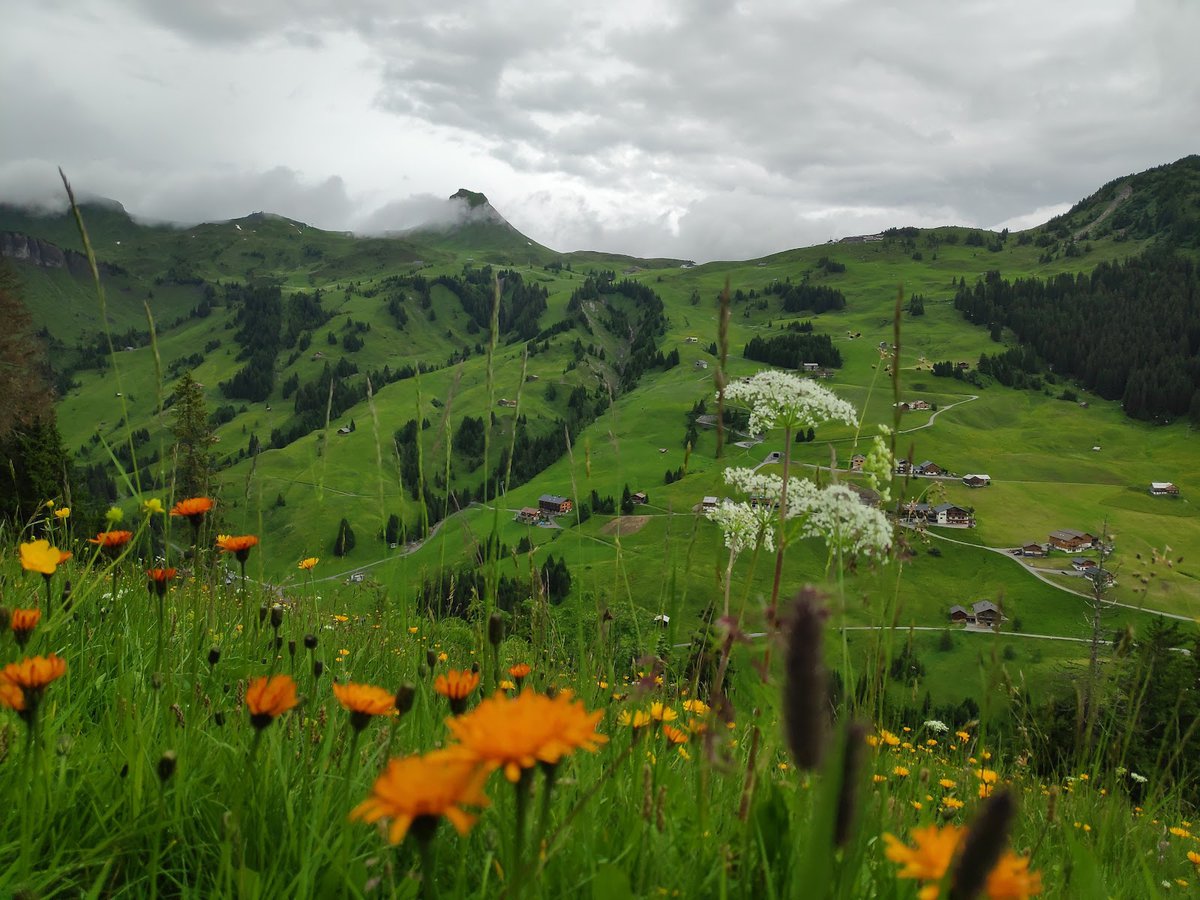 منتجع التزلج دامولس ميلاو