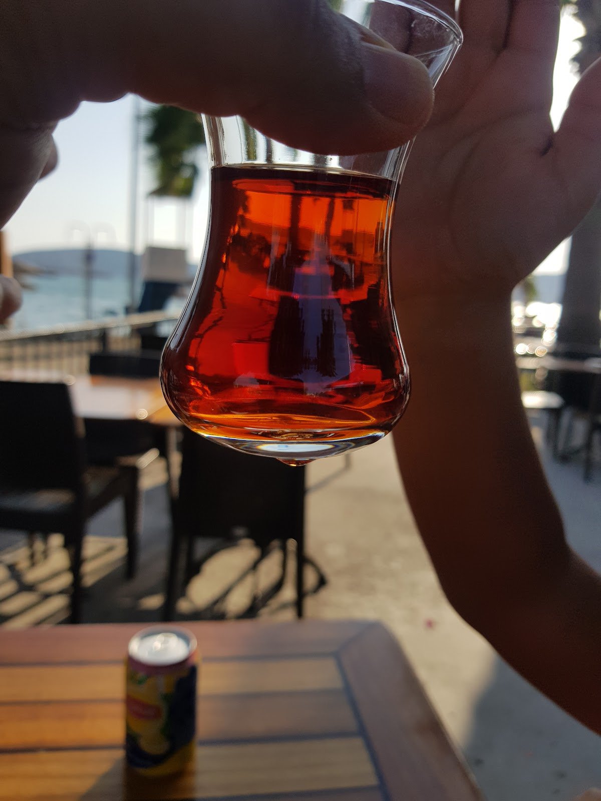 A picture of Municipal Beach