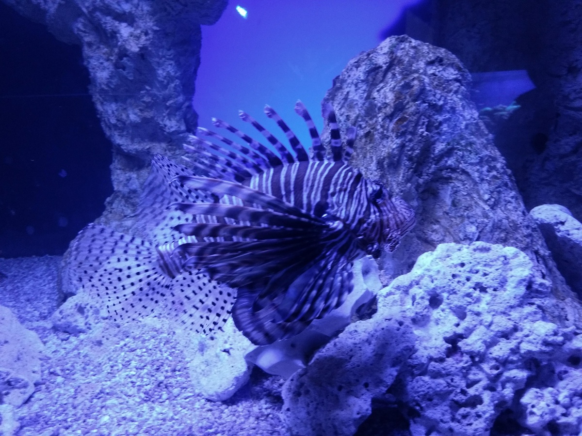 اشهر و افضل  5 احواض مائية في المكسيك ننصح بها