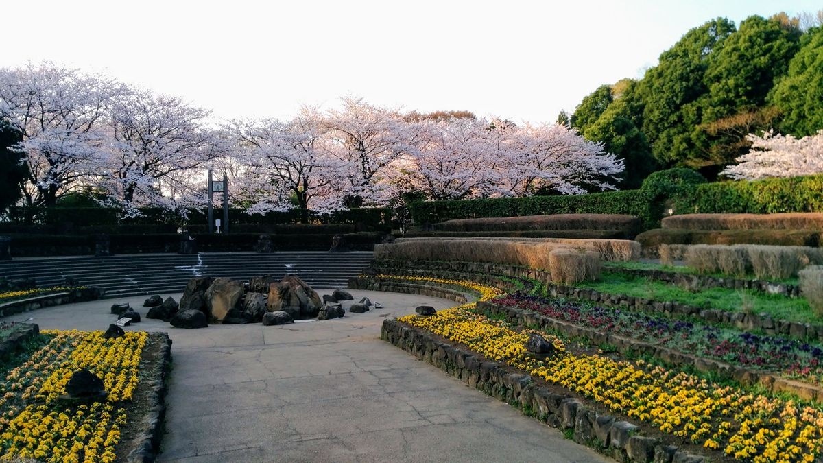 حديقة  شيكنوموري