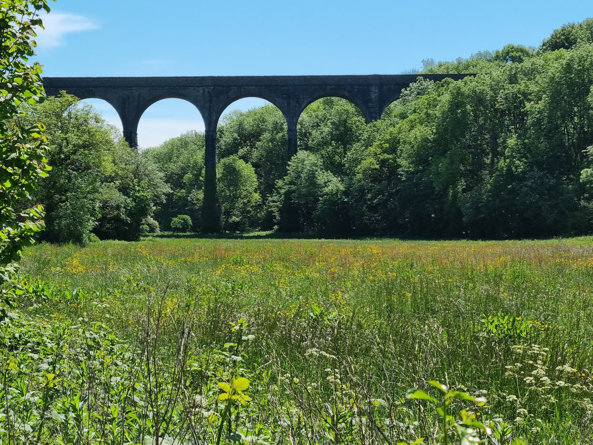 A picture of Porthkerry Country Park