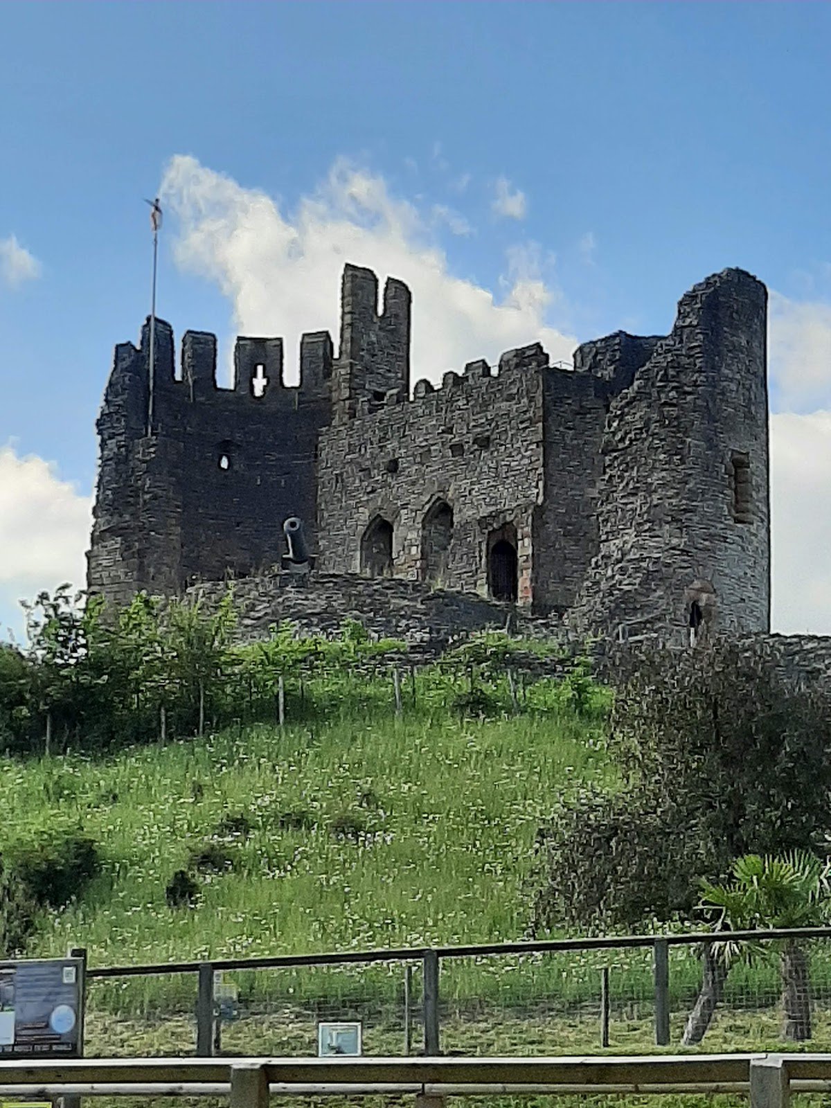 A picture of Dudley Zoo and Castle