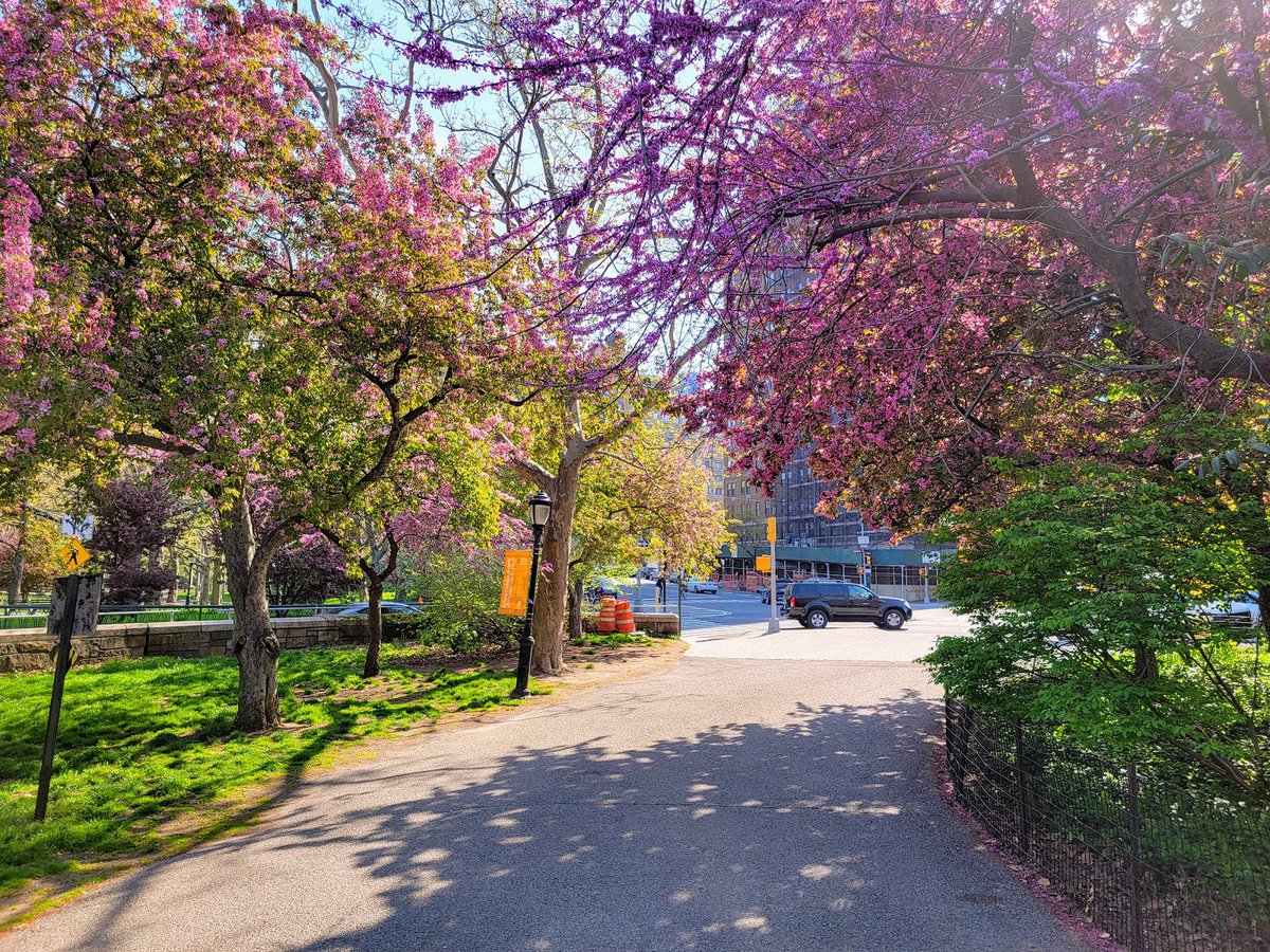 6 من أفضل حدائق و اماكن طبيعية في مدينة نيويورك لتستمتع بزيارتها