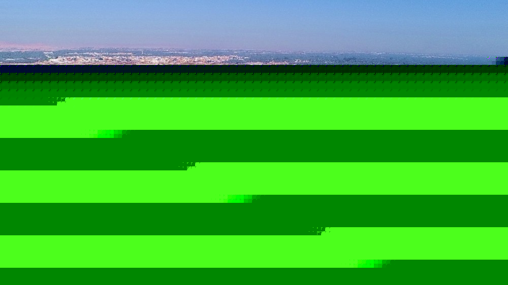 واحة الأحساء