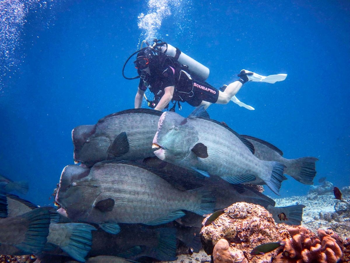 الغوص العميق والسفر