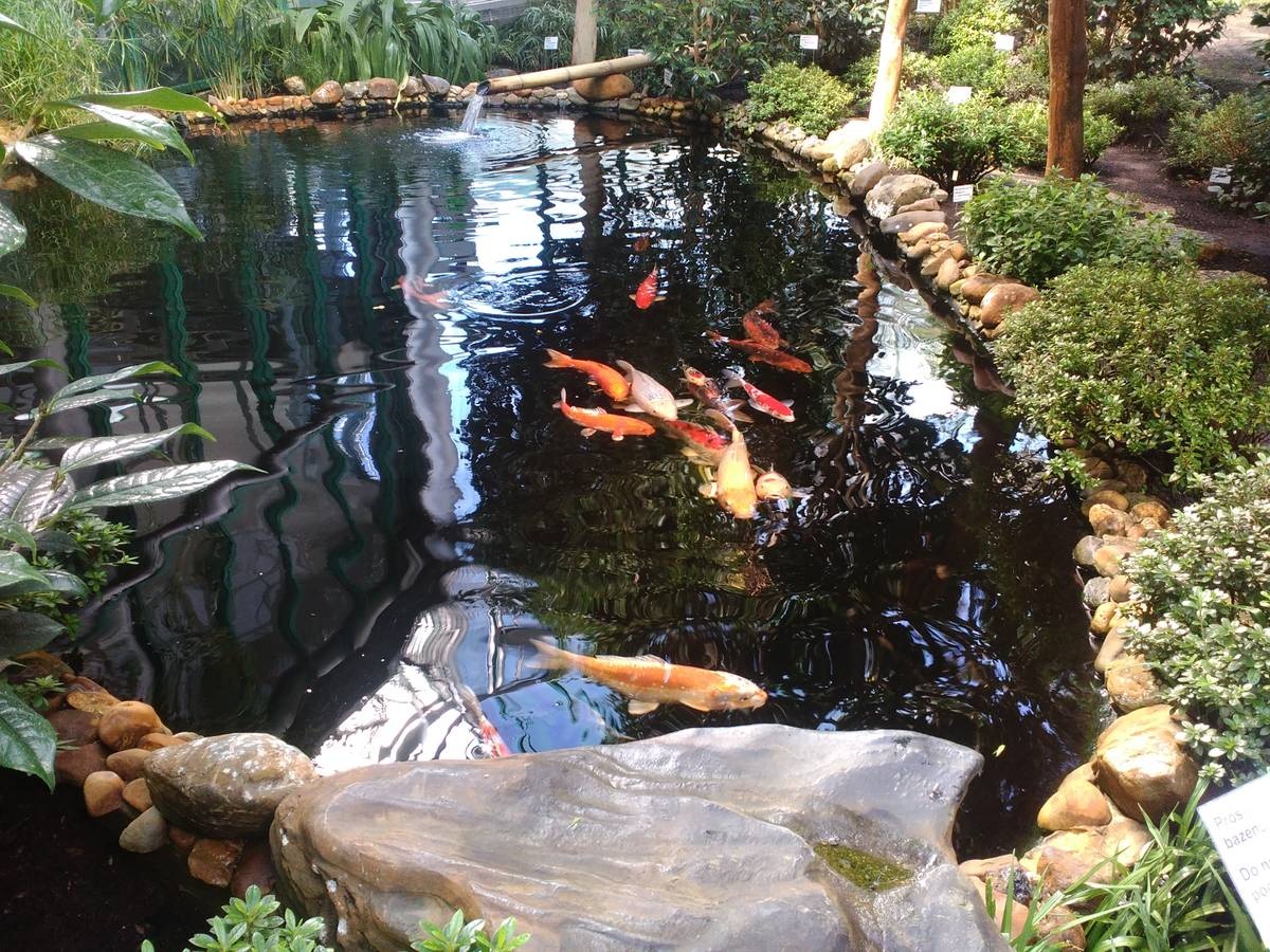 حدائق ليبيريتس النباتية